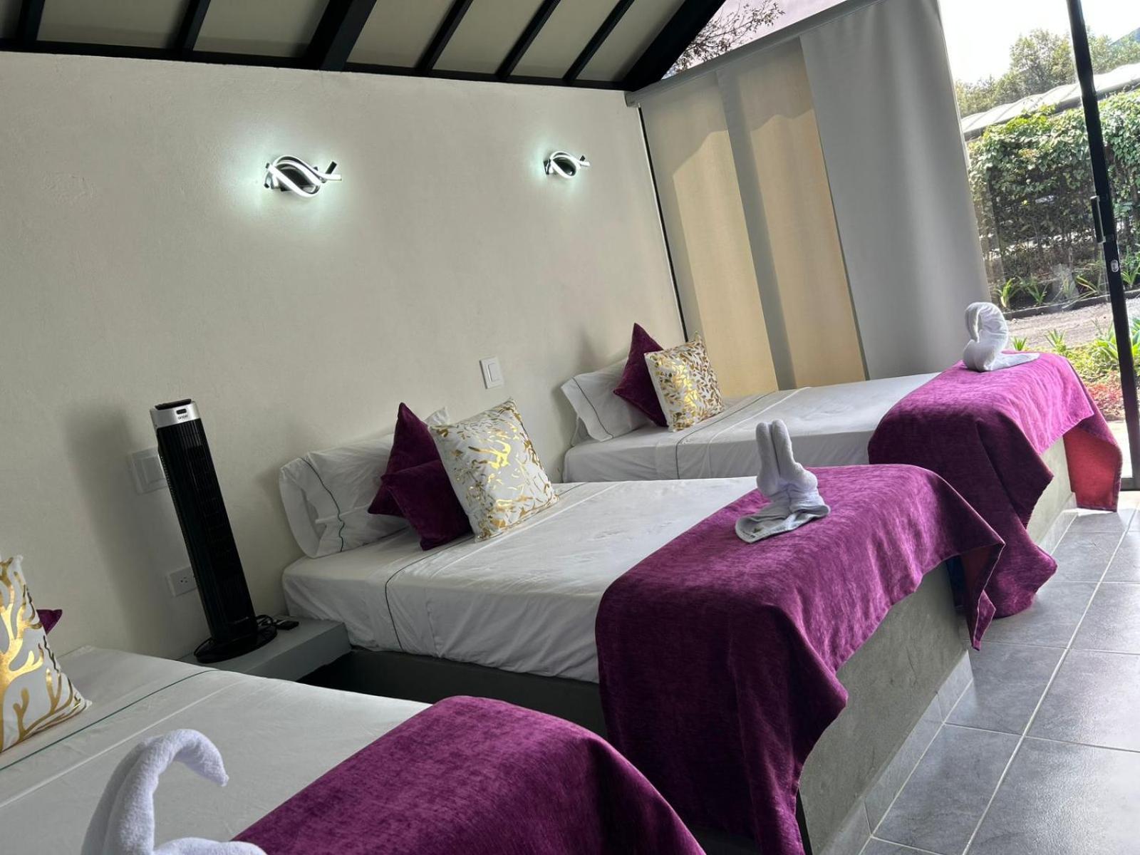 Star Center Hotel Boutique Ріонегро Екстер'єр фото