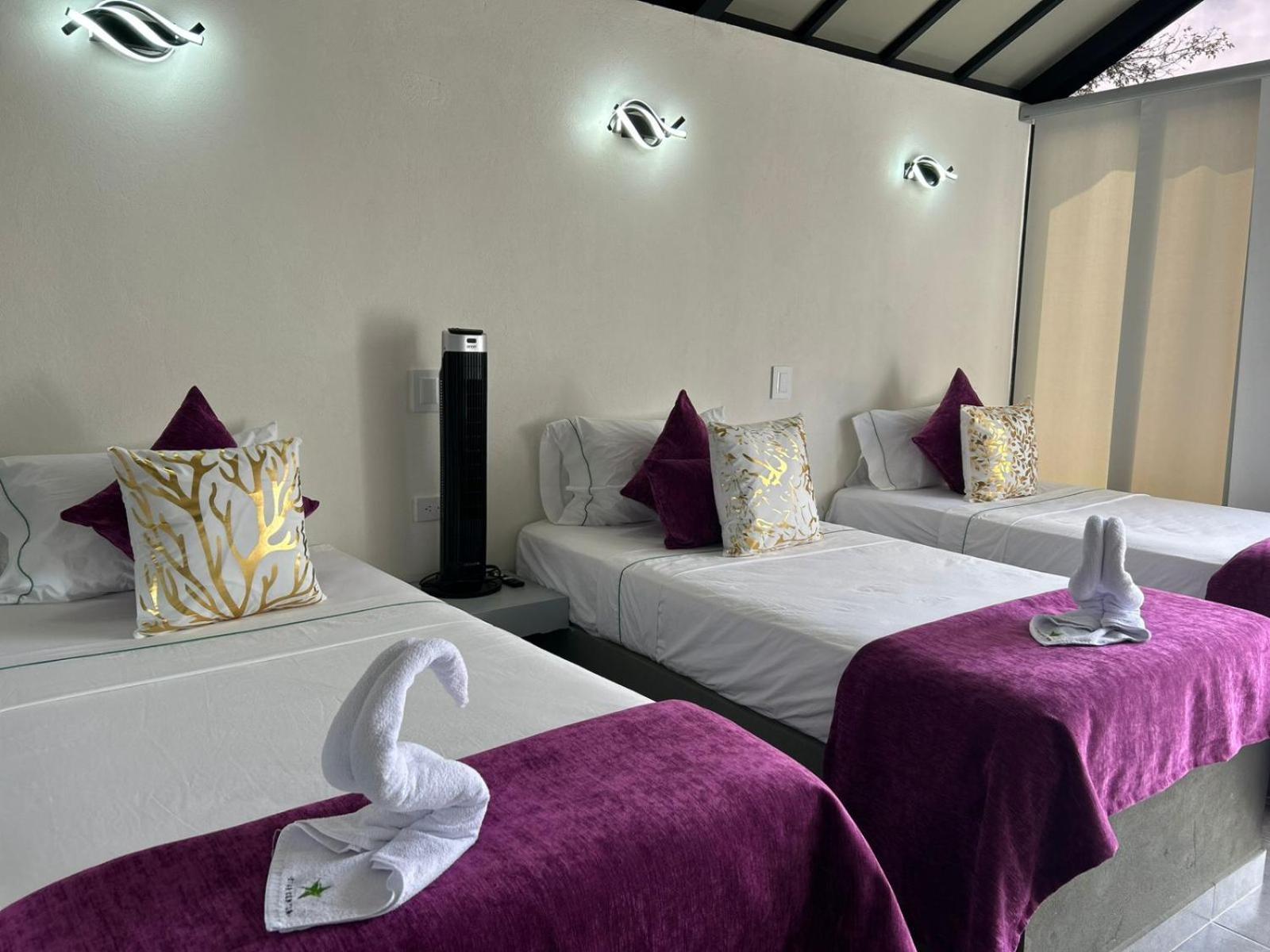 Star Center Hotel Boutique Ріонегро Екстер'єр фото